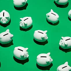 many piggy banks on a green background