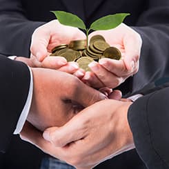 hands holding money and plant