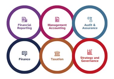 Six rings stacked three in a row encircling from left to right logo and text, financial reporting, management accounting, audit and assurance, finance, taxation and, strategy and governance